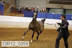 13r12_0358 thumbnail