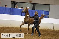 13r12_0361 thumbnail