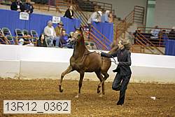 13r12_0362 thumbnail