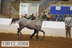13r12_0364 thumbnail