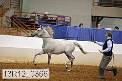 13r12_0366 thumbnail
