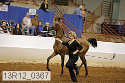 13r12_0367 thumbnail