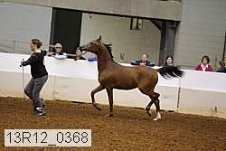 13r12_0368 thumbnail