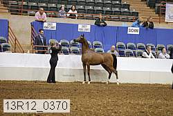 13r12_0370 thumbnail