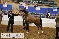 13r12_0371 thumbnail