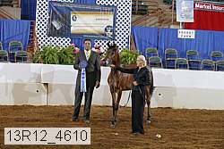 13r12_4610 thumbnail