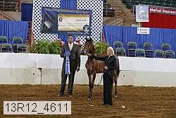 13r12_4611 thumbnail