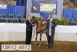 13r12_4612 thumbnail