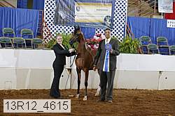 13r12_4615 thumbnail