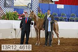 13r12_4618 thumbnail