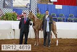 13r12_4619 thumbnail