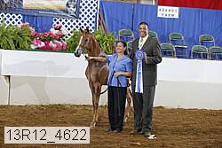 13r12_4622 thumbnail