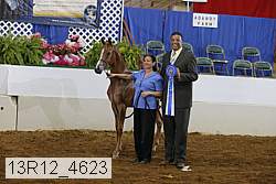 13r12_4623 thumbnail