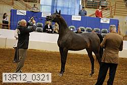 13r12_0321 thumbnail