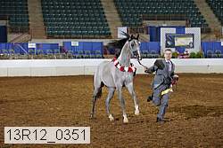 13r12_0351 thumbnail