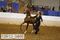 13r12_0466 thumbnail