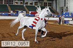 13r12_0957 thumbnail