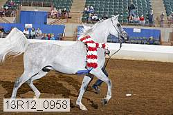 13r12_0958 thumbnail