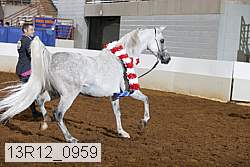 13r12_0959 thumbnail