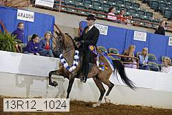 13r12_1024 thumbnail