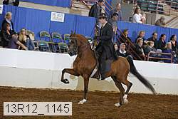 13r12_1145 thumbnail