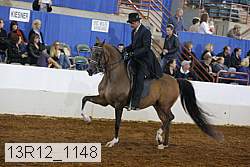 13r12_1148 thumbnail