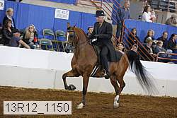 13r12_1150 thumbnail