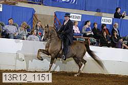 13r12_1151 thumbnail