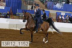 13r12_1152 thumbnail