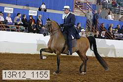 13r12_1155 thumbnail