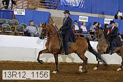 13r12_1156 thumbnail