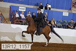 13r12_1157 thumbnail