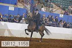 13r12_1158 thumbnail