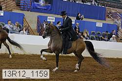 13r12_1159 thumbnail