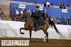 13r12_1161 thumbnail