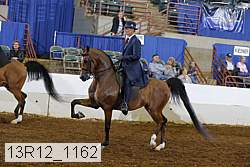 13r12_1162 thumbnail