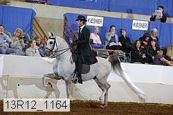 13r12_1164 thumbnail