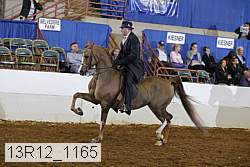 13r12_1165 thumbnail