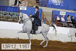 13r12_1167 thumbnail