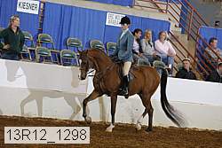 13r12_1298 thumbnail