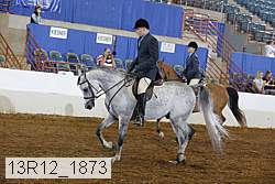 13r12_1873 thumbnail