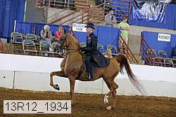 13r12_1934 thumbnail