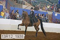 13r12_1938 thumbnail