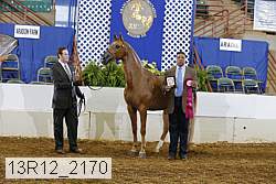 13r12_2170 thumbnail