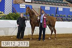 13r12_2173 thumbnail