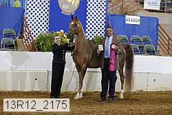 13r12_2175 thumbnail
