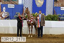 13r12_2178 thumbnail