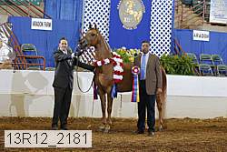 13r12_2181 thumbnail
