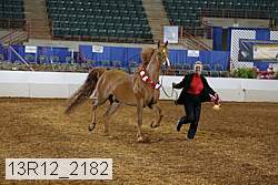 13r12_2182 thumbnail