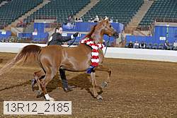 13r12_2185 thumbnail